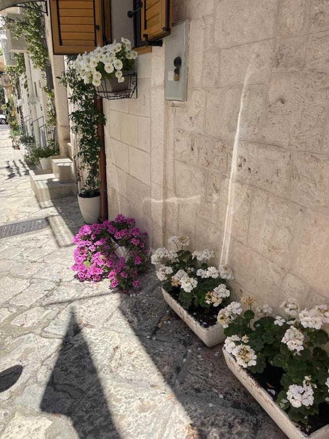 Casetta Nobile Ostuni Exteriér fotografie